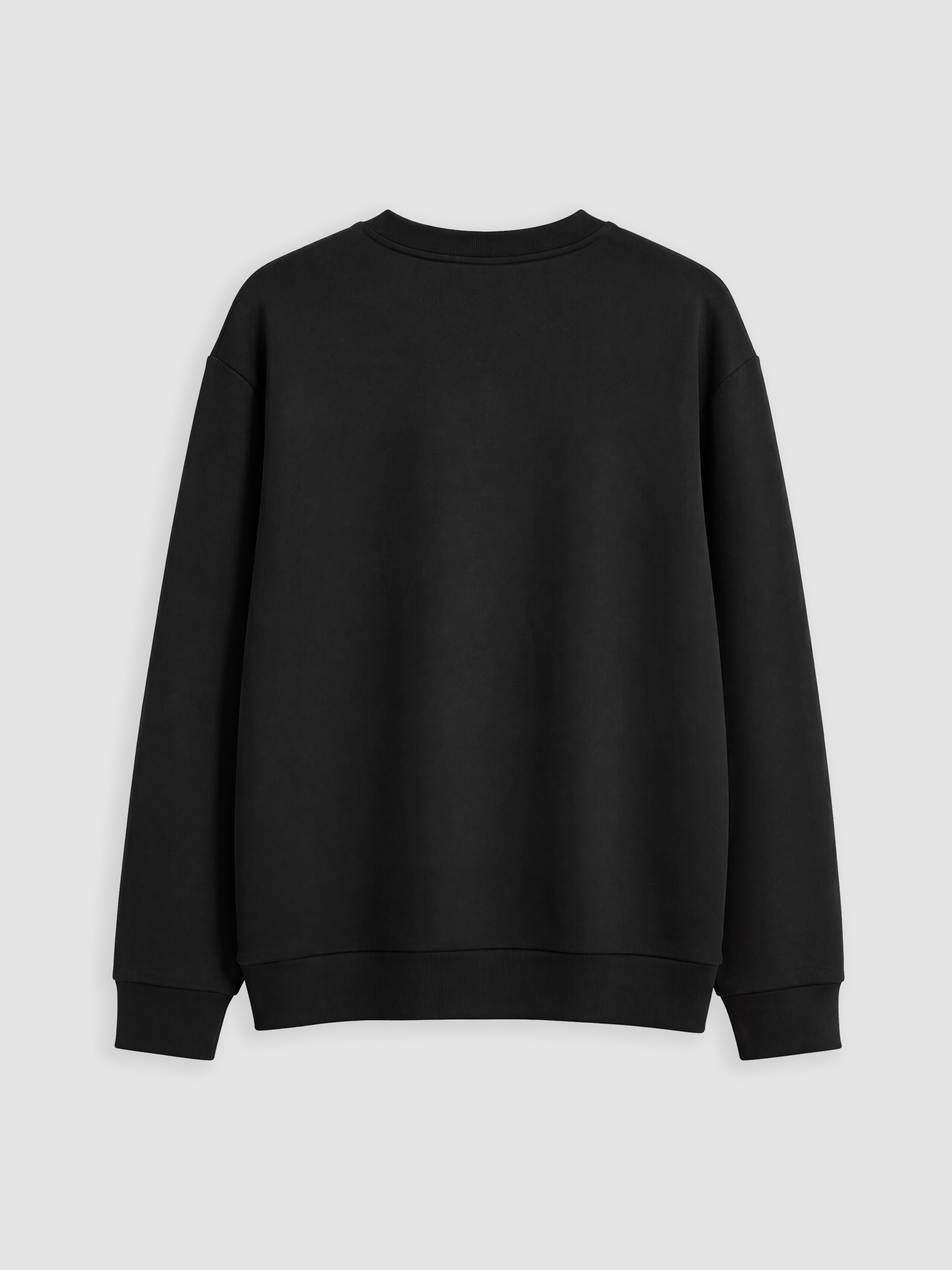 LCW Vision Bisiklet Yaka Erkek Sweatshirt görsel 7
