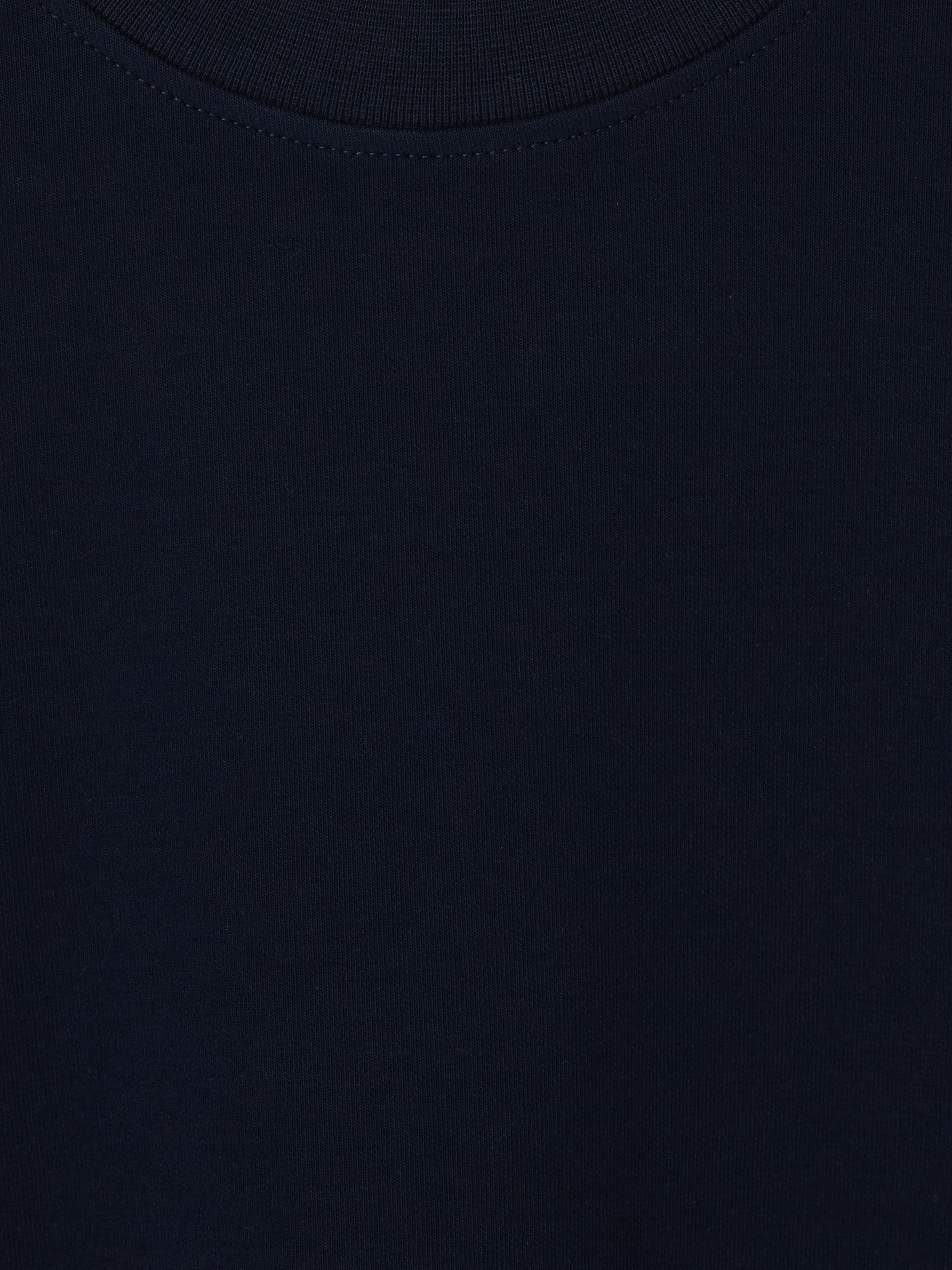 LCW Vision Bisiklet Yaka Erkek Sweatshirt görsel 5