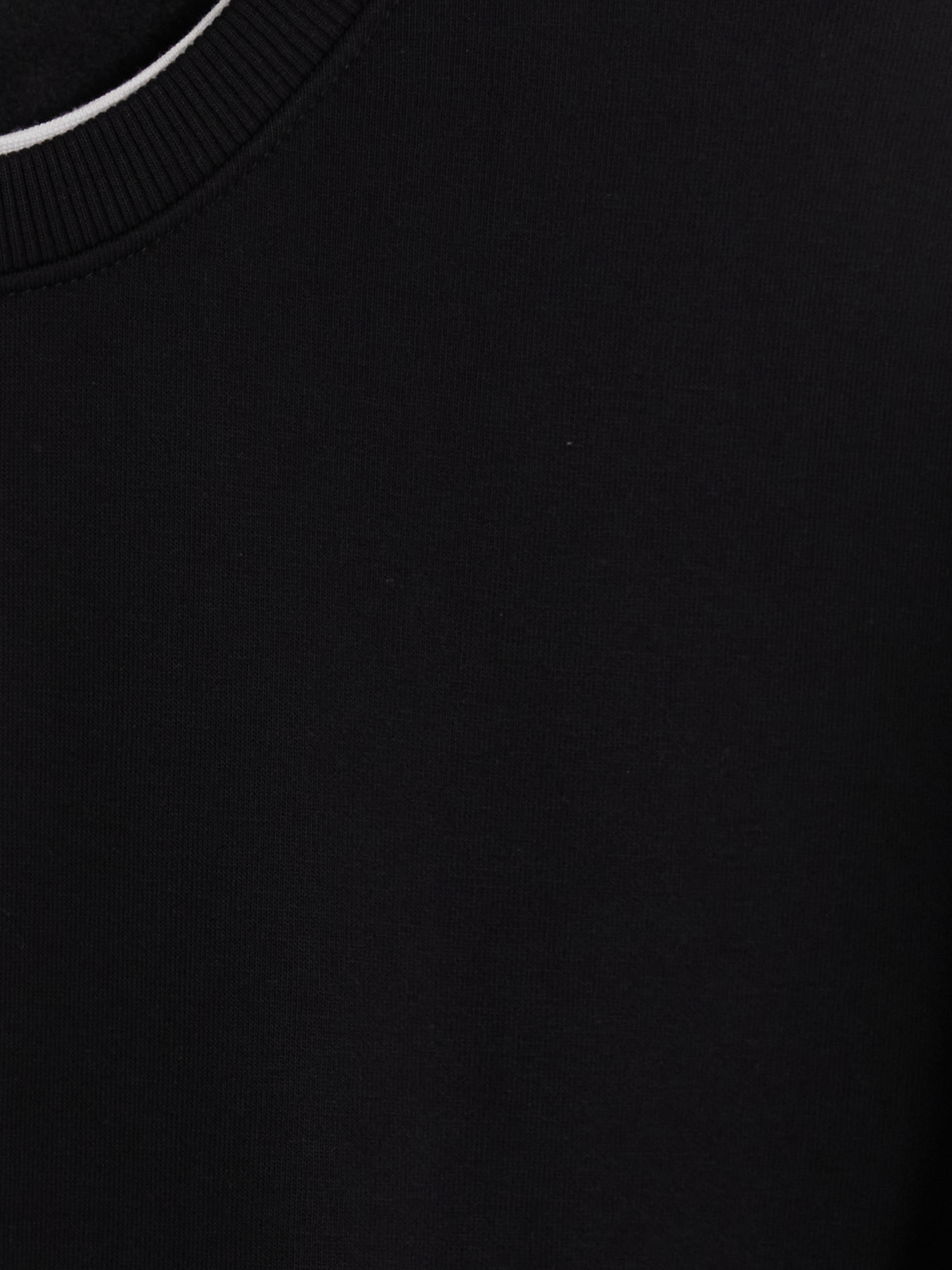 LCW Vision Bisiklet Yaka Erkek Kalın Sweatshirt görsel 5