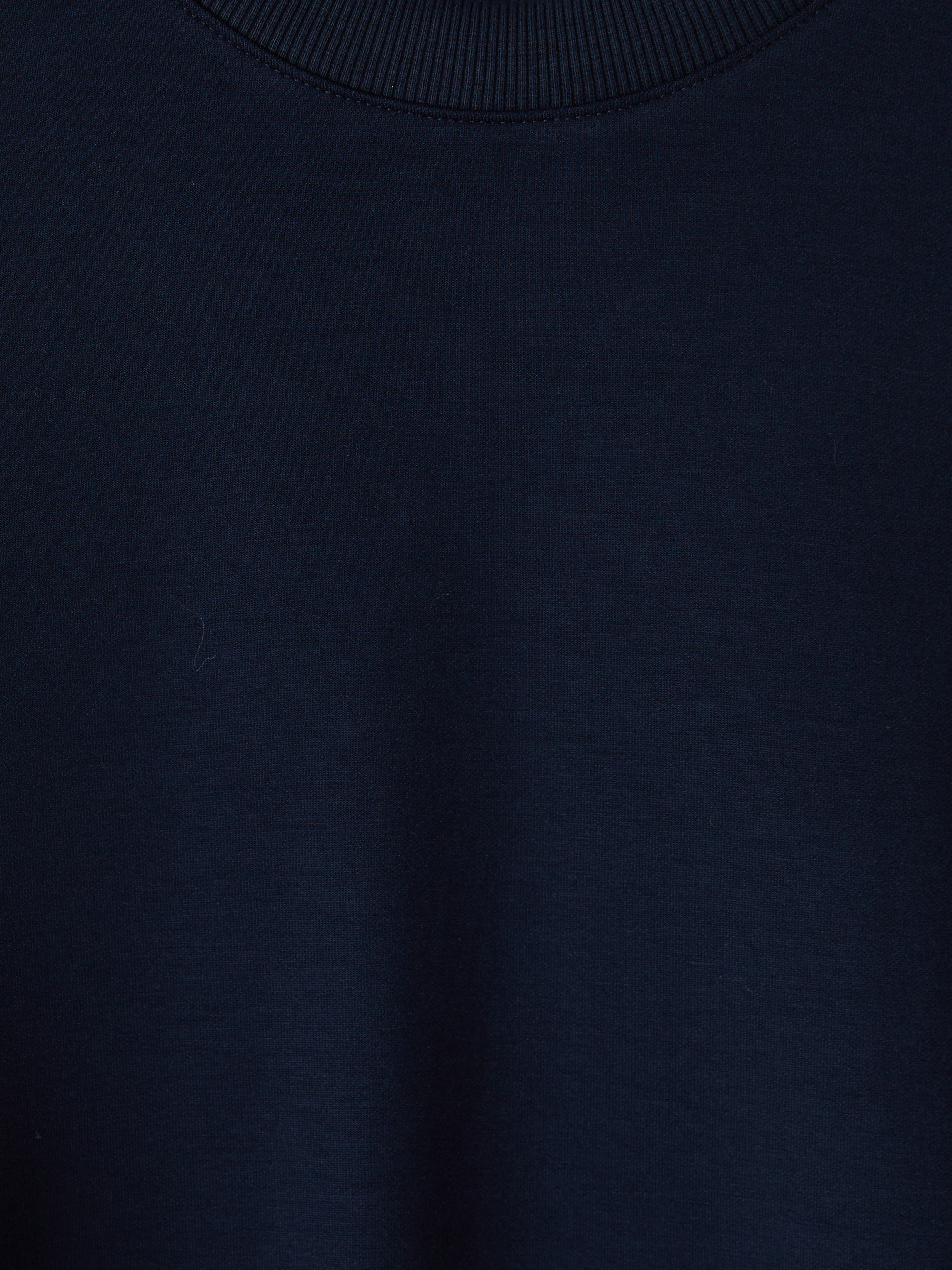 LCW Vision Bisiklet Yaka Erkek Sweatshirt görsel 3