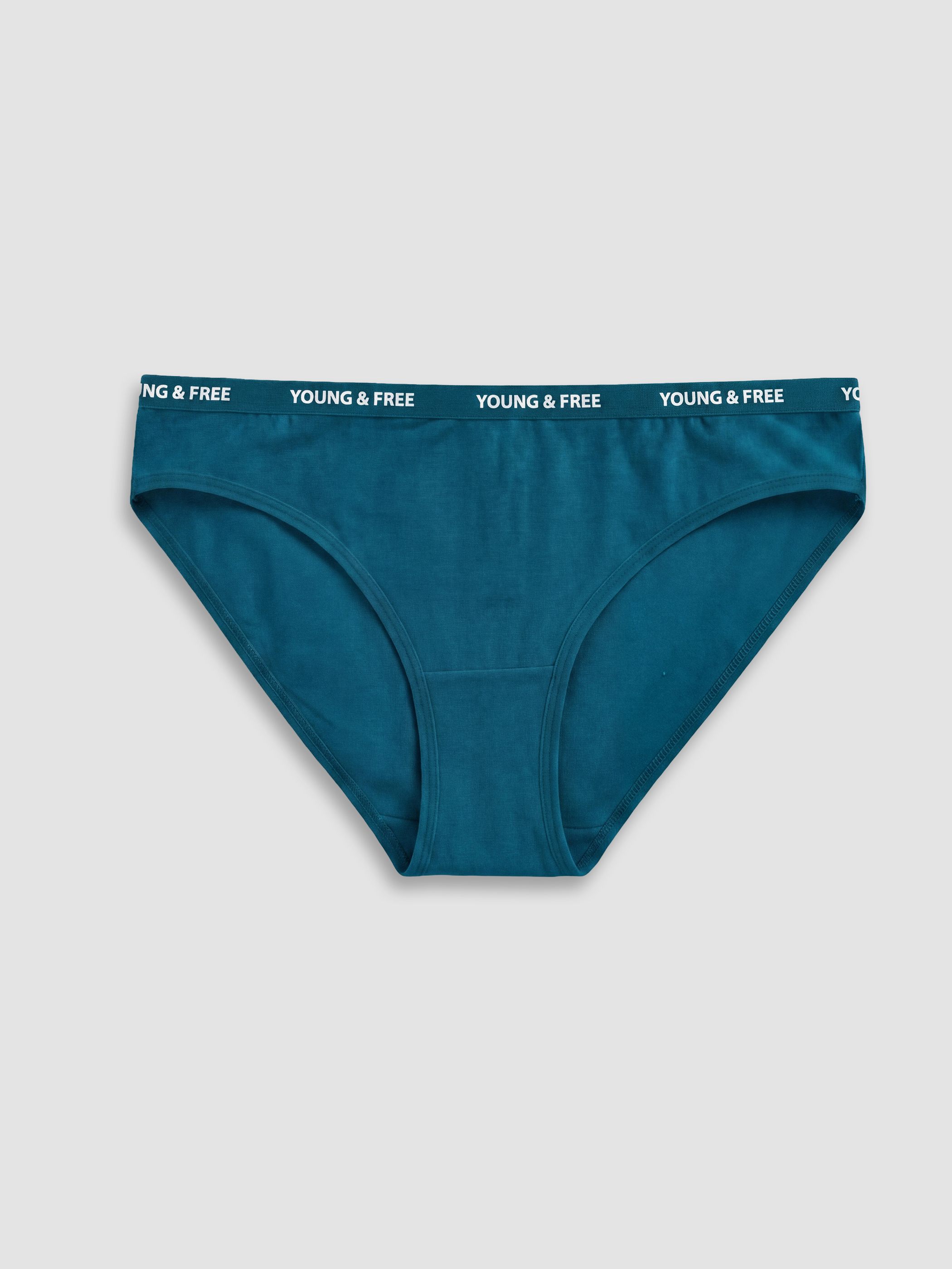 LCW Young Baskılı Bikini Külot 3'lü görsel 2