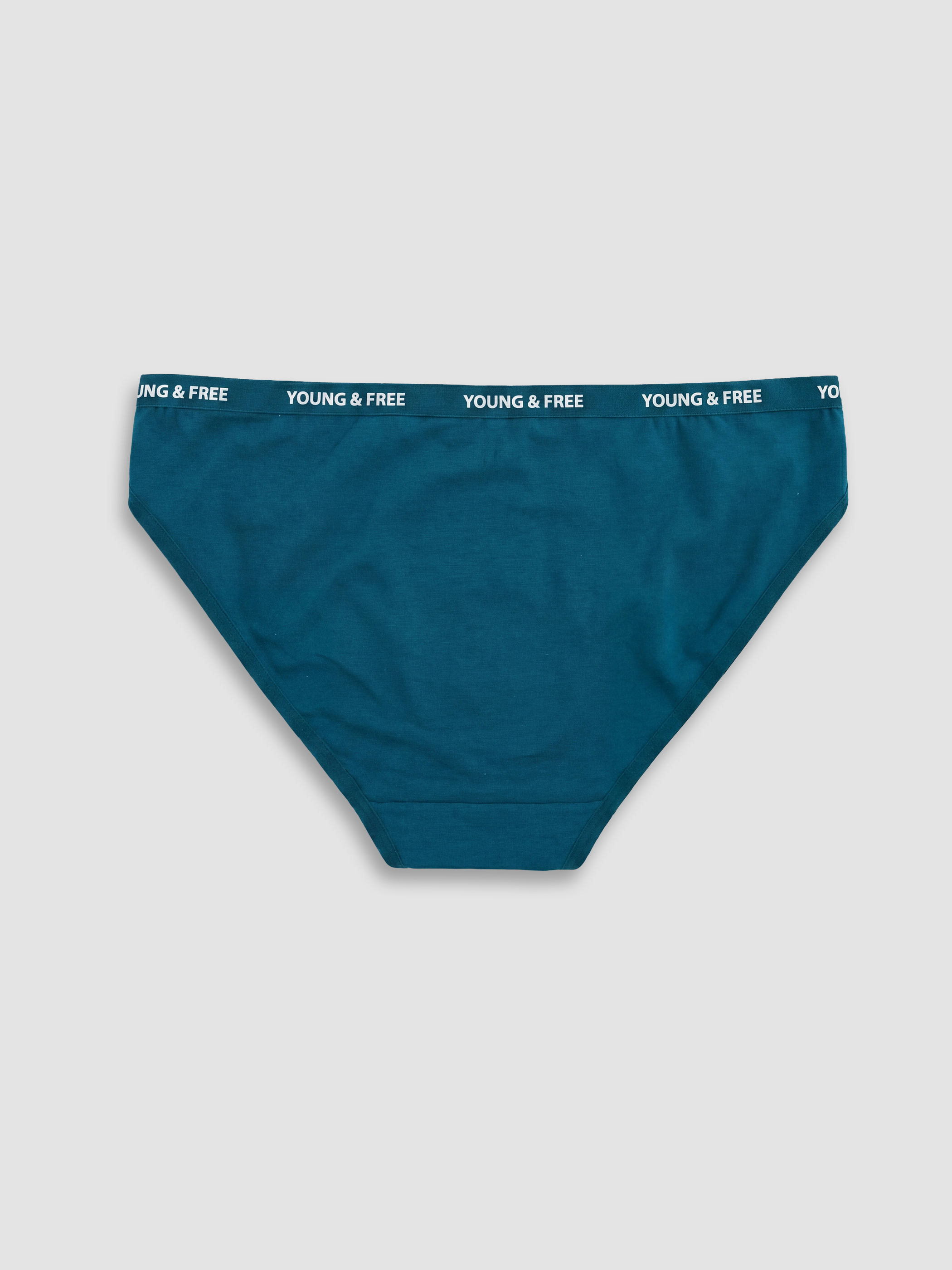 LCW Young Baskılı Bikini Külot 3'lü görsel 3