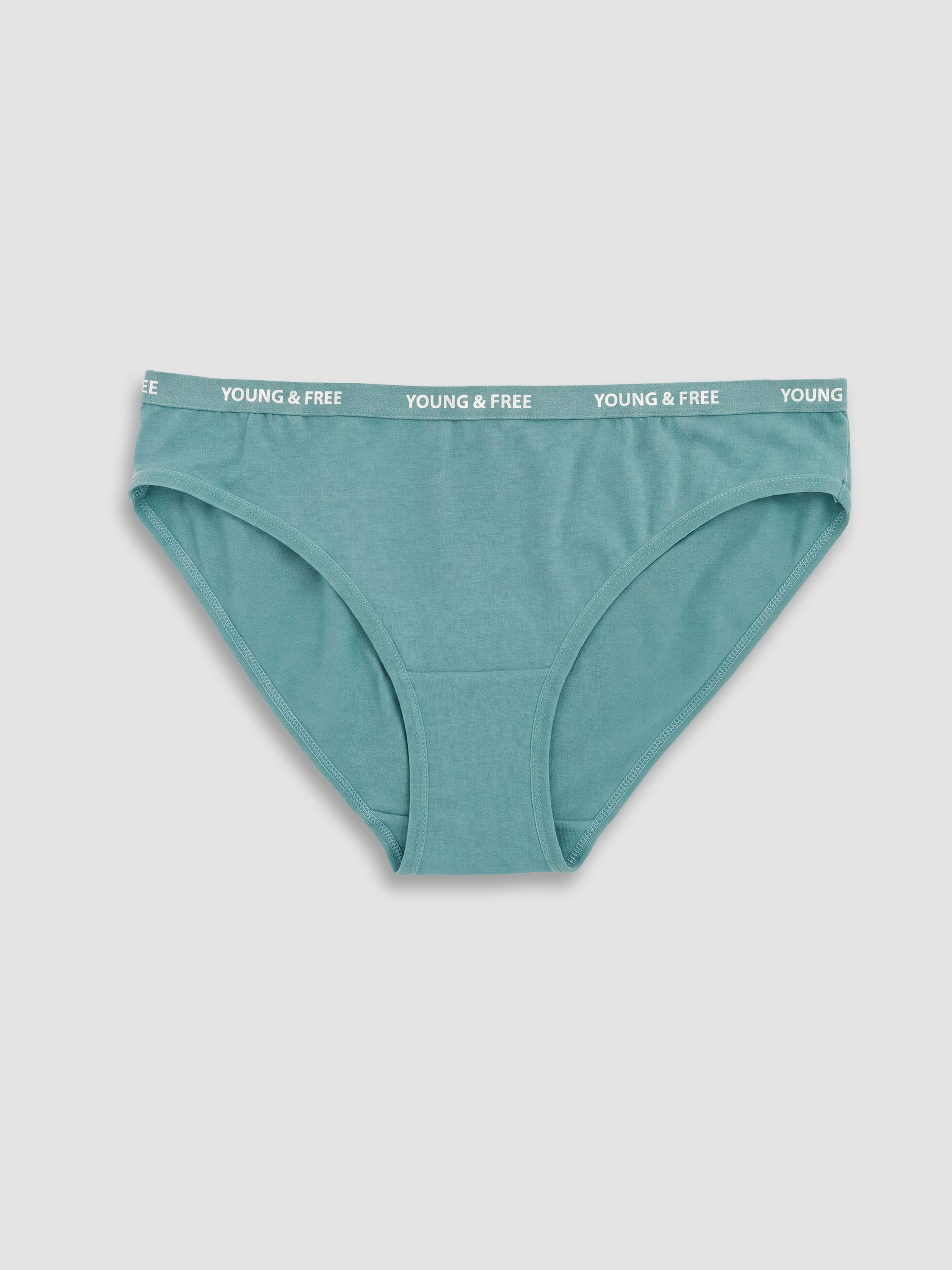 LCW Young Baskılı Bikini Külot 3'lü görsel 5