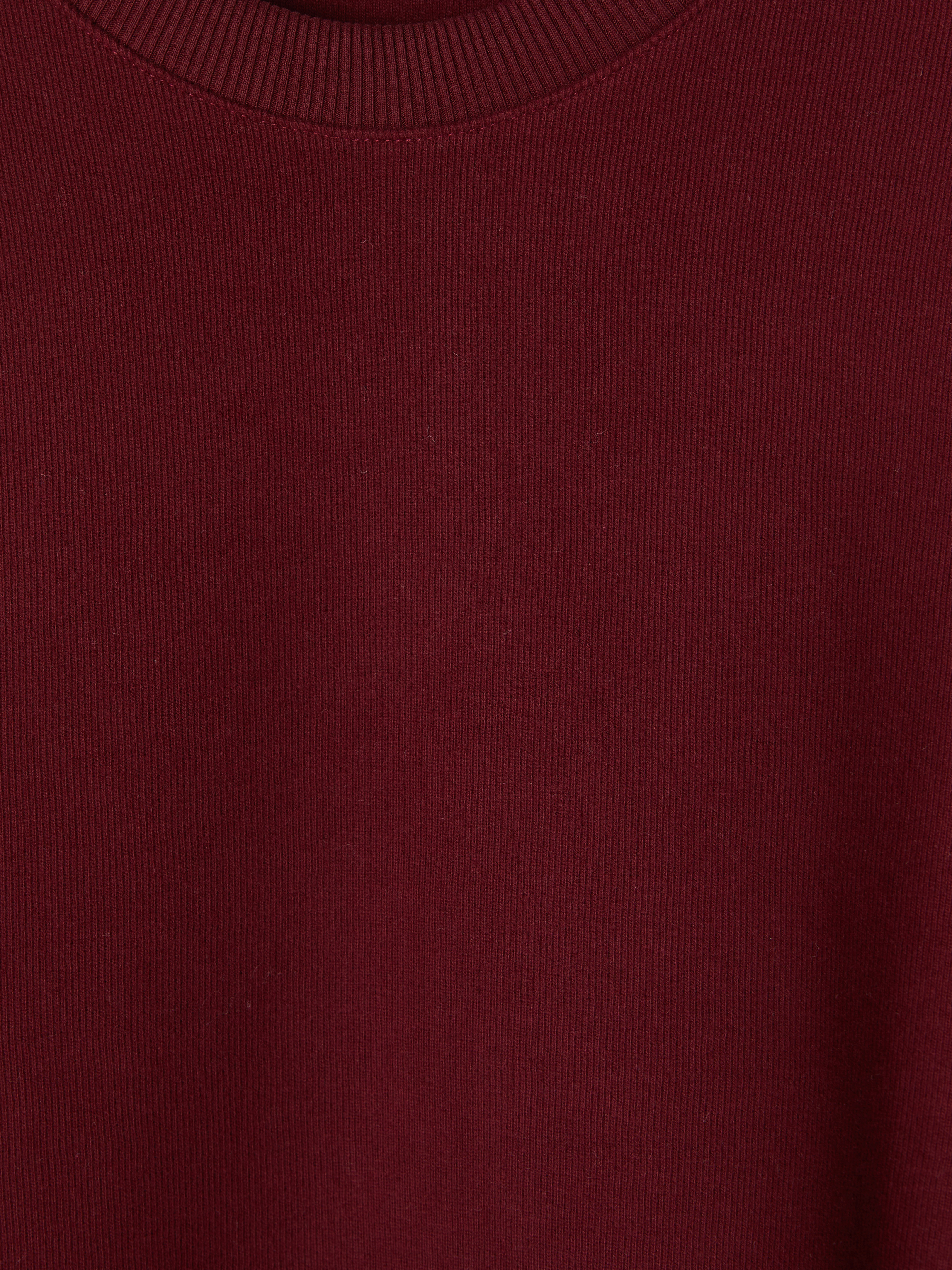 LCW Vision Bisiklet Yaka Erkek Sweatshirt görsel 5