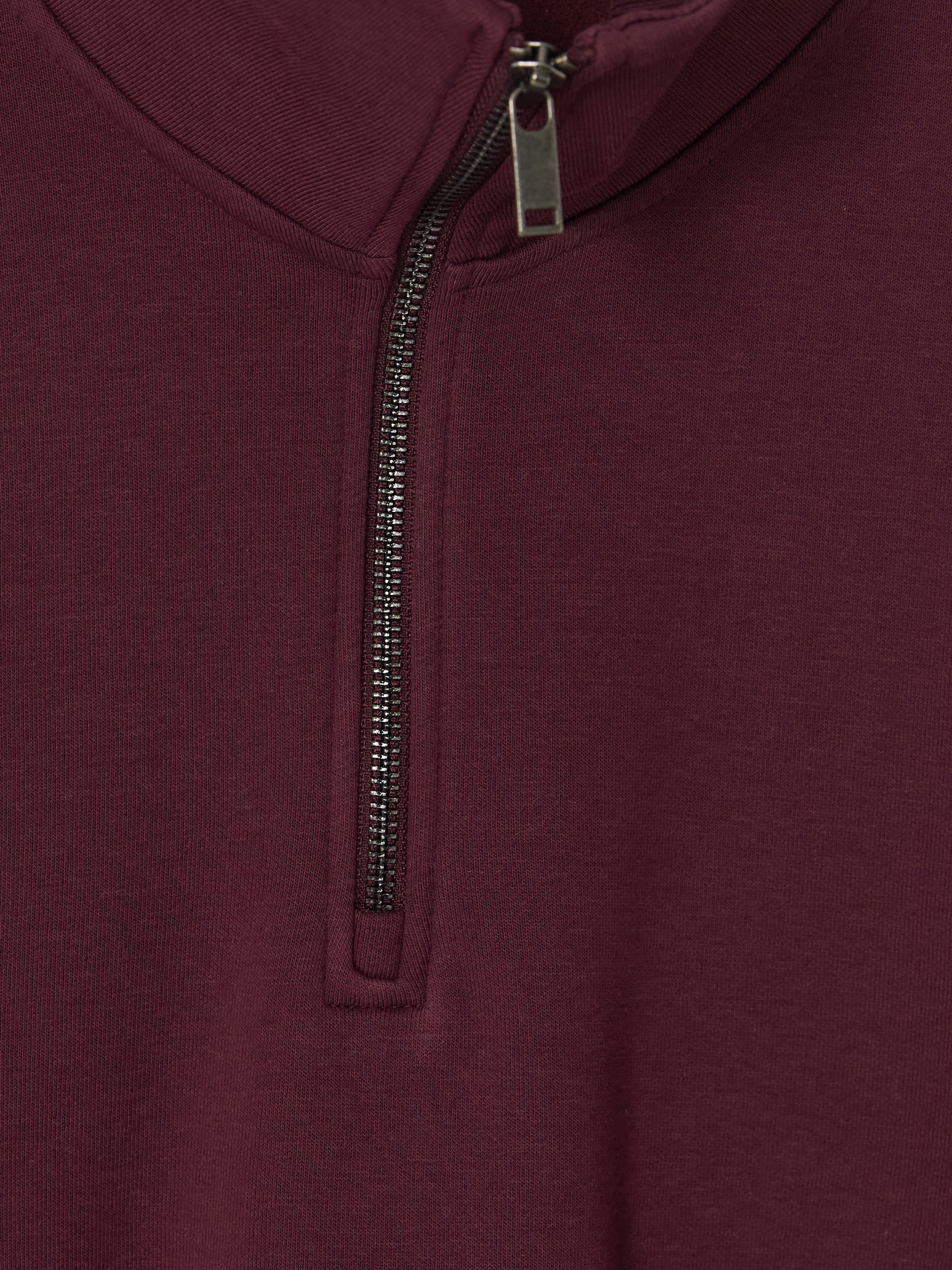 LCW Vision Dik Yaka Erkek Kalın Sweatshirt görsel 2