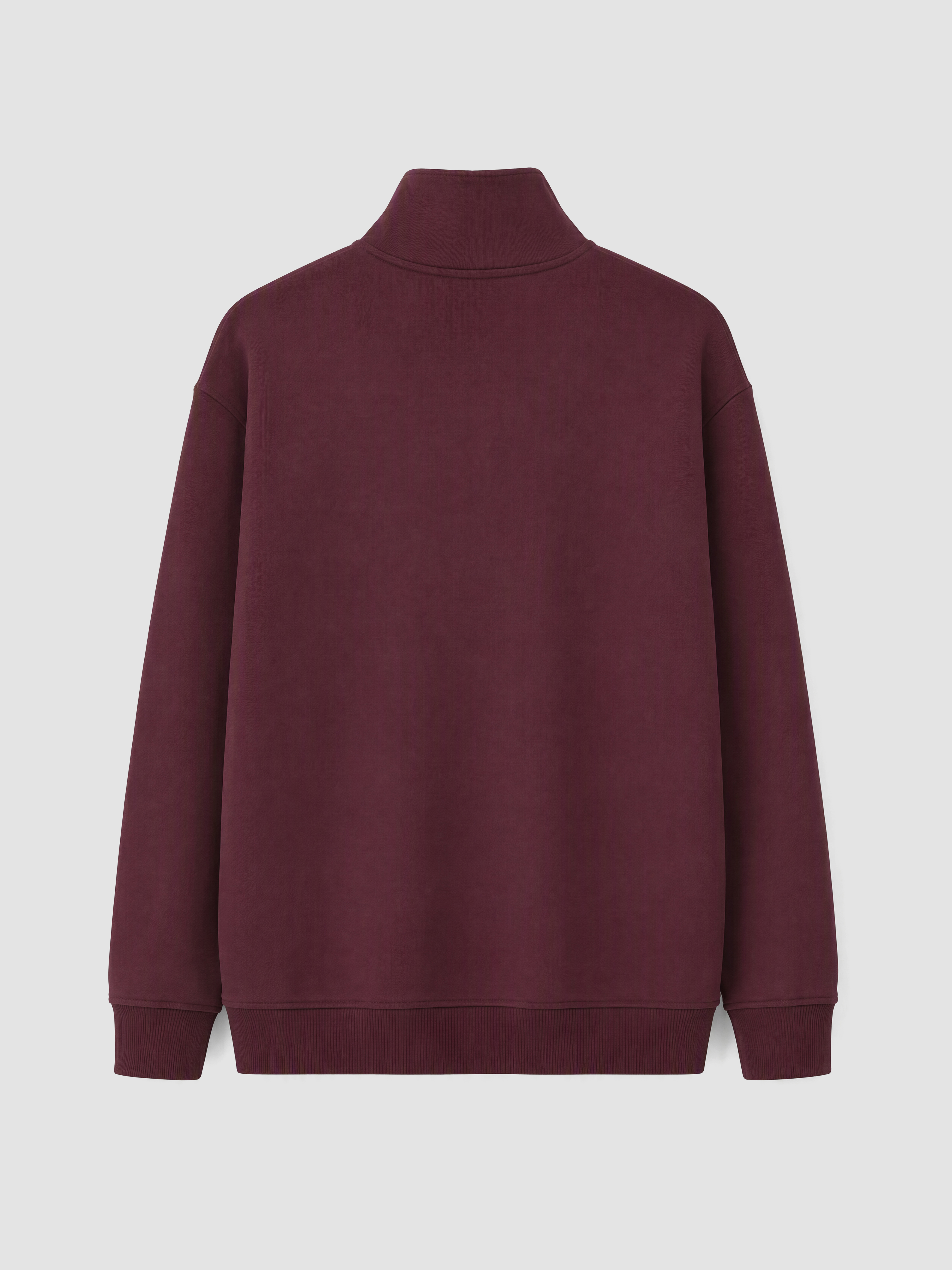 LCW Vision Dik Yaka Erkek Kalın Sweatshirt görsel 3