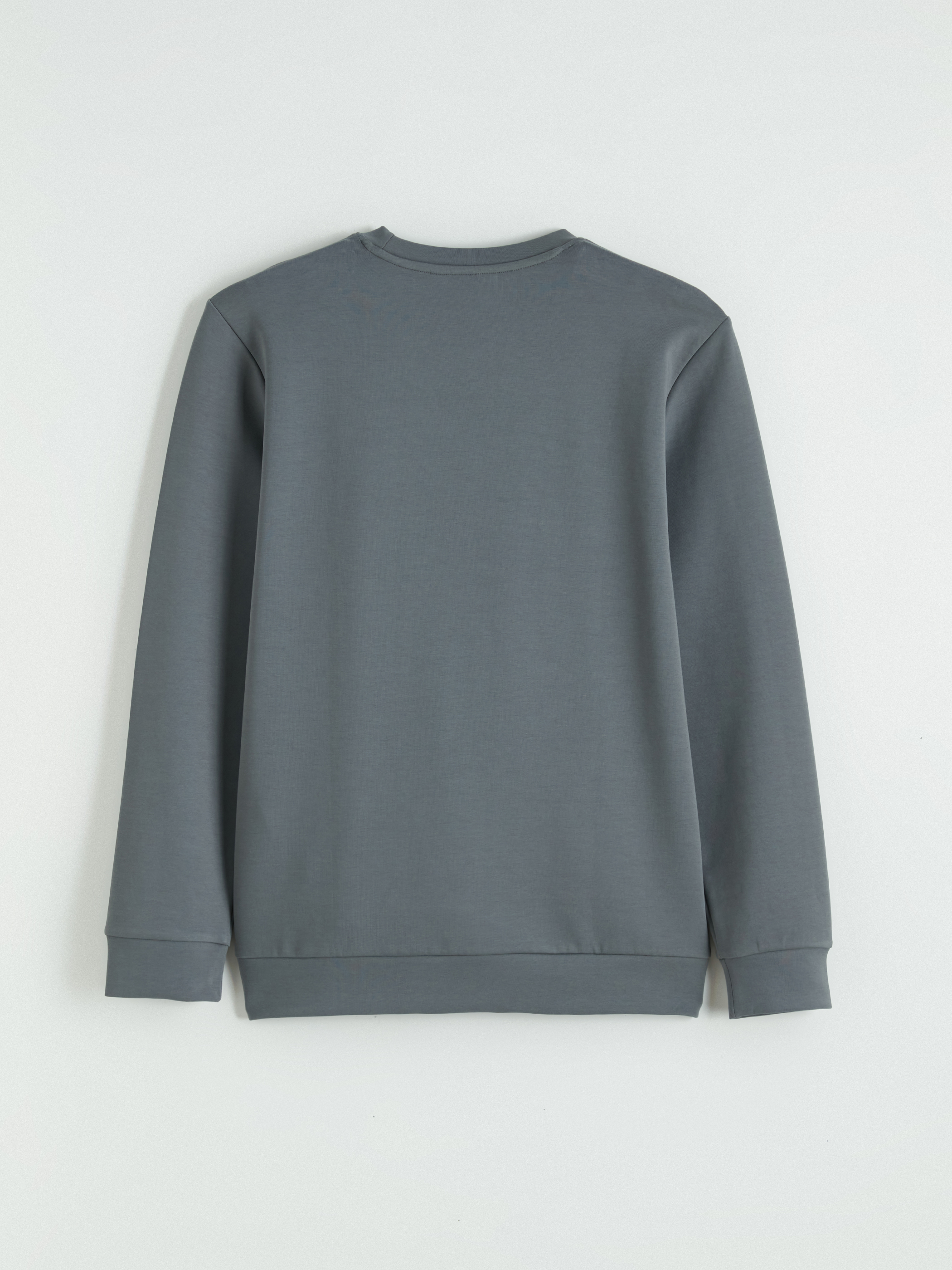 SOUTHBLUE Bisiklet Yaka Baskılı Erkek Sweatshirt görsel 7