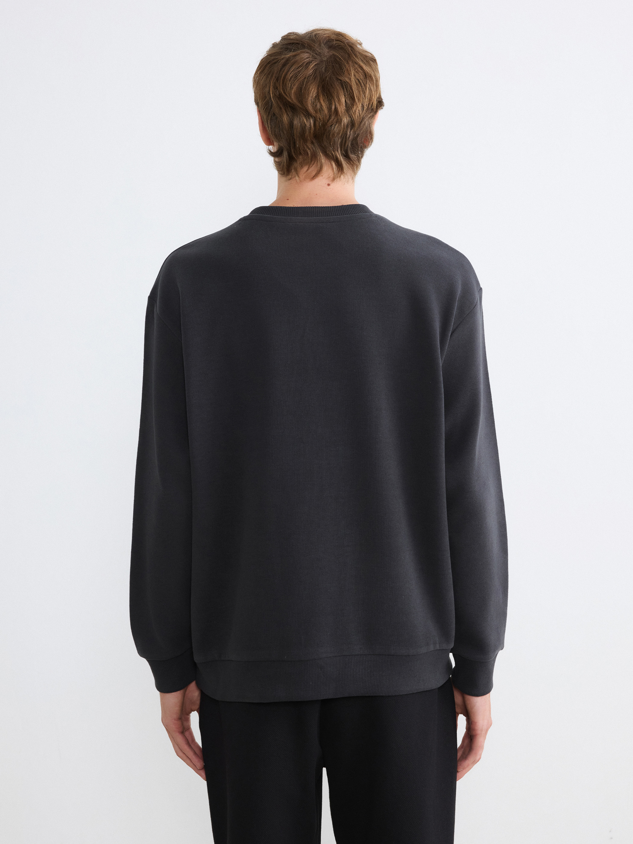LCW Vision Regular Fit Bisiklet Yaka Erkek Sweatshirt görsel 4