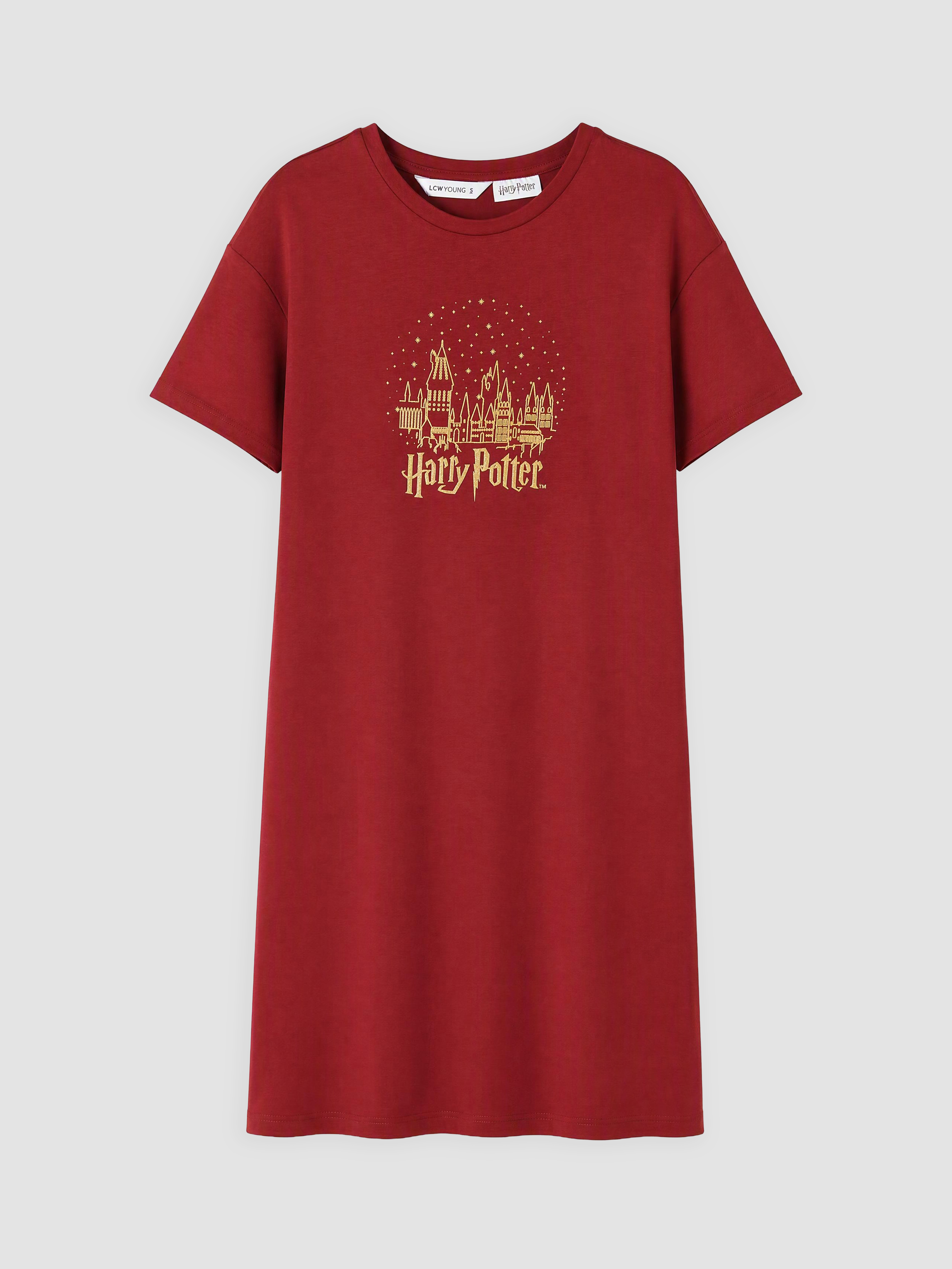 LCW Young Harry Potter Baskılı Kadın Gecelik görsel 5