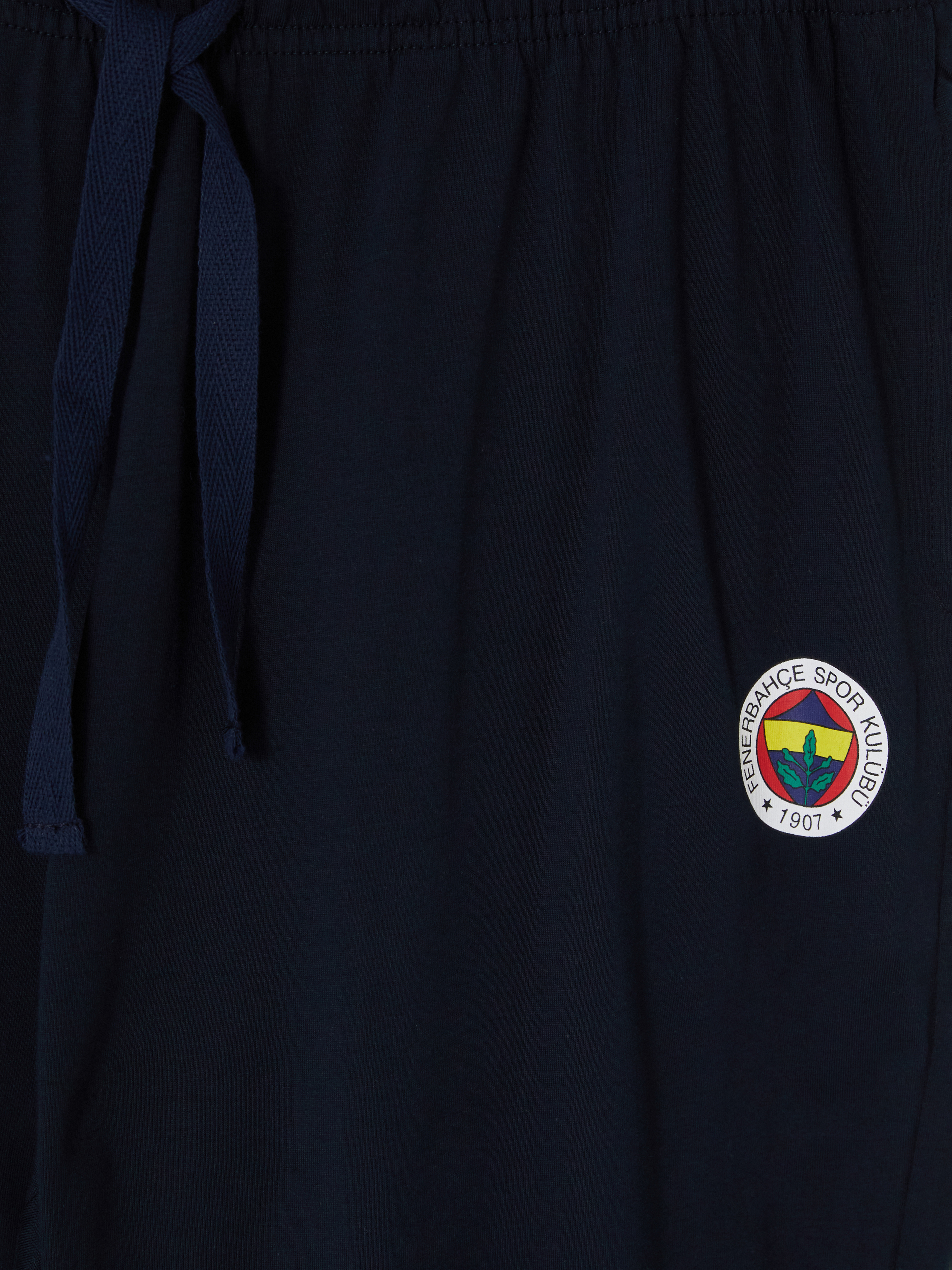 LC WAIKIKI Fenerbahçe Baskılı Pijama Takımı görsel 7