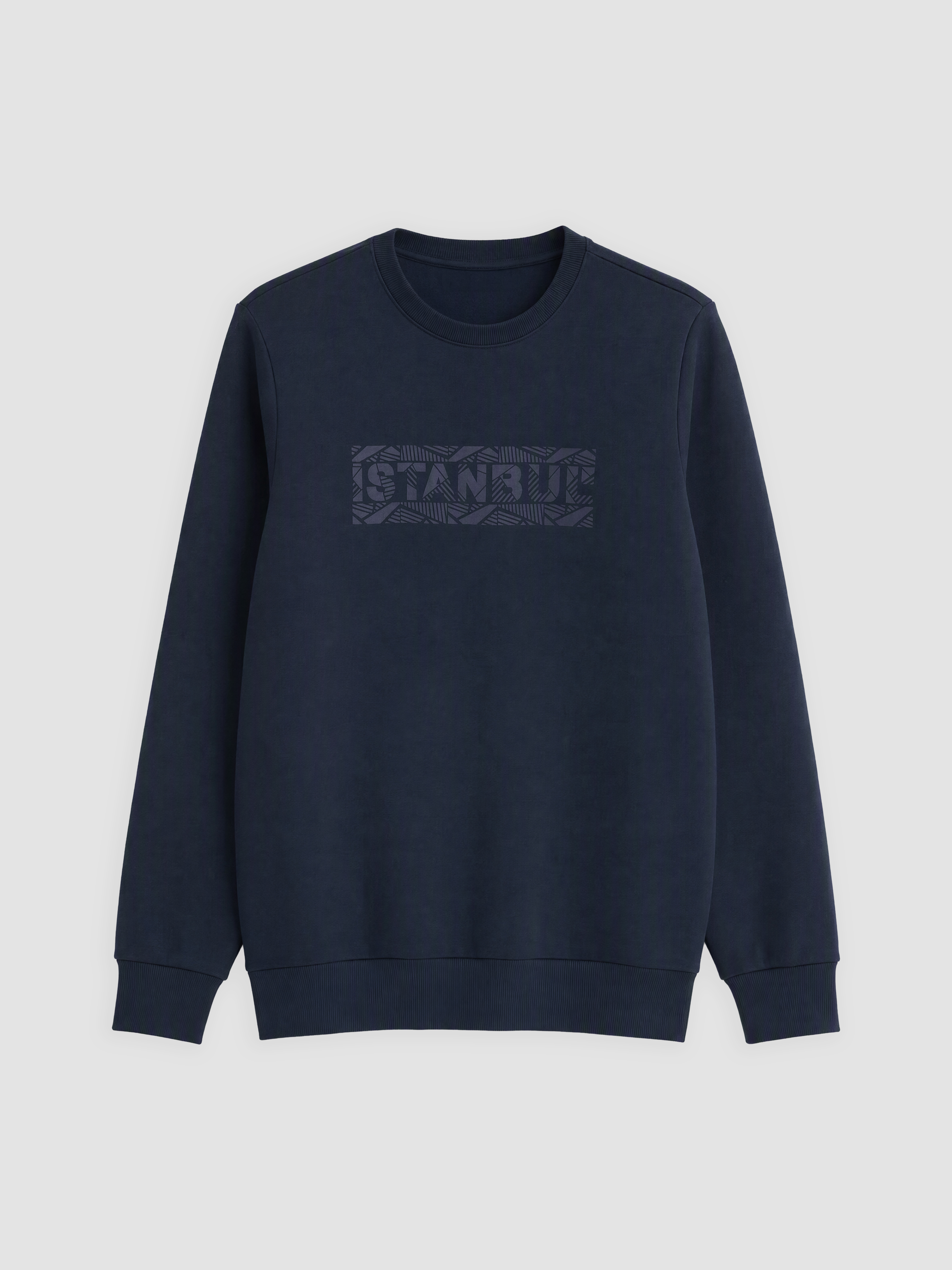 LCWAIKIKI Classic Bisiklet Yaka Baskılı Erkek Kalın Sweatshirt görsel 3