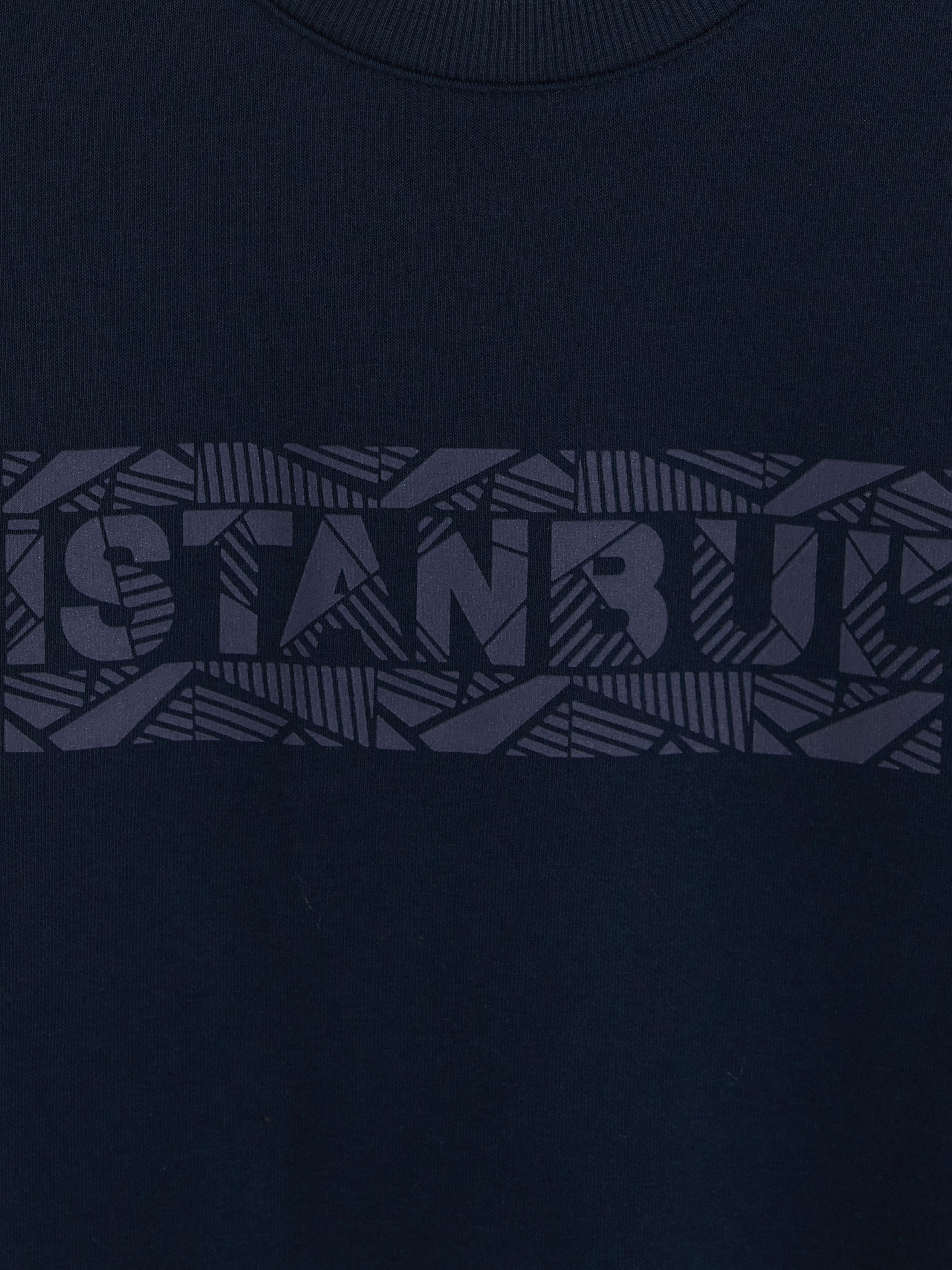 LCWAIKIKI Classic Bisiklet Yaka Baskılı Erkek Kalın Sweatshirt görsel 5