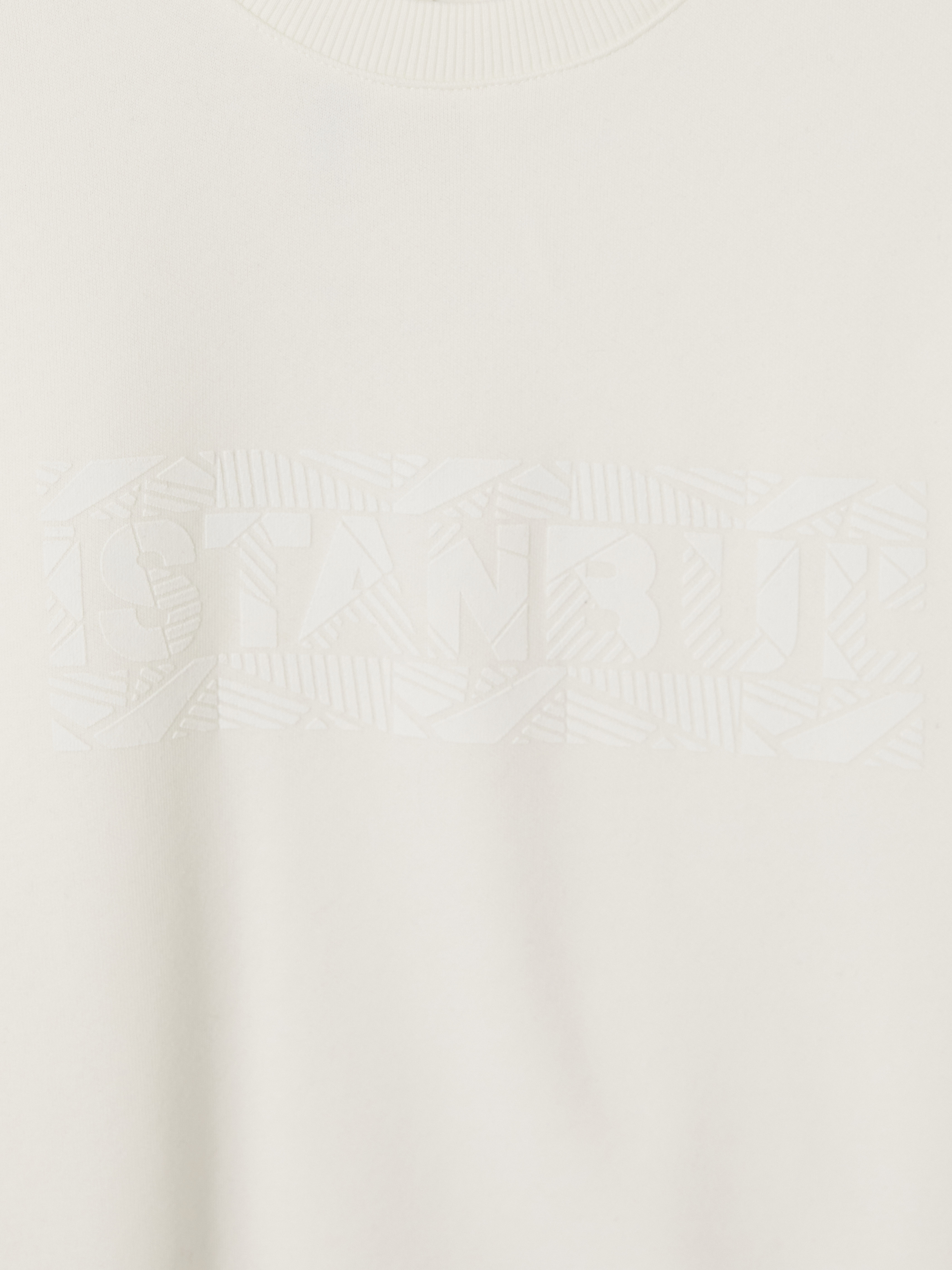 LCWAIKIKI Classic Bisiklet Yaka Baskılı Erkek Kalın Sweatshirt görsel 6