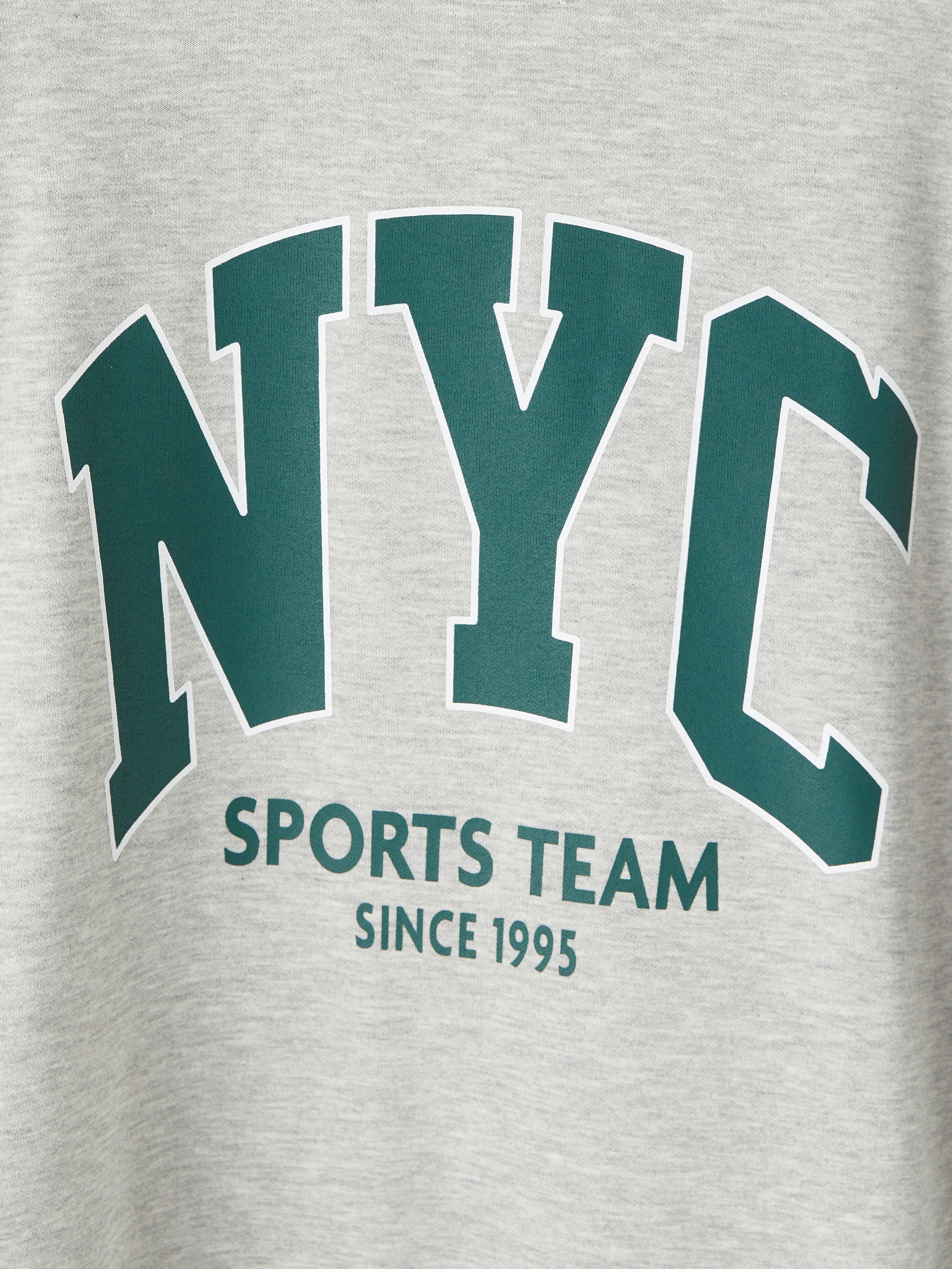 LC WAIKIKI NYC Baskılı Oversize Kadın Sweatshirt görsel 6