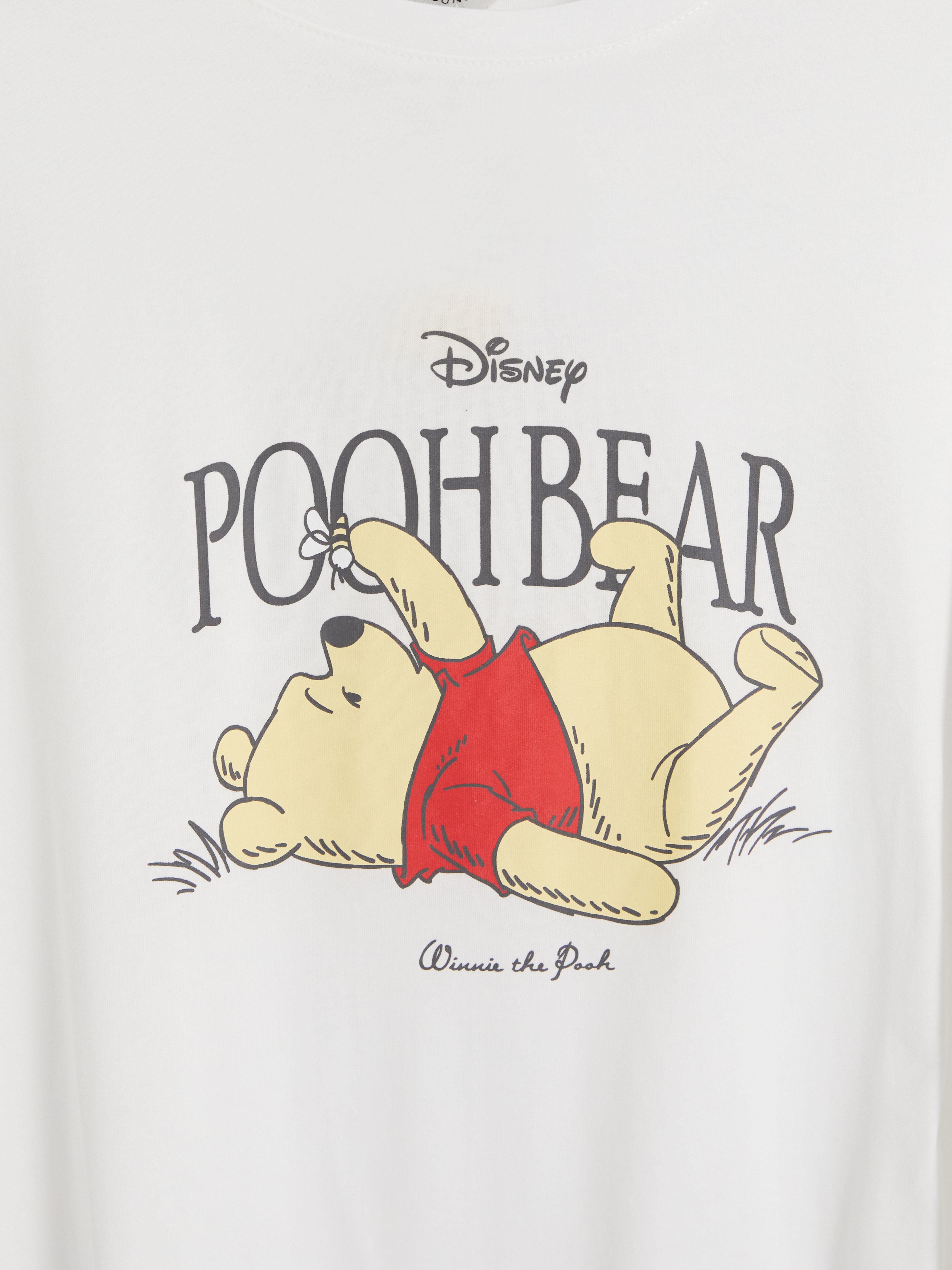 LCW Young Winnie the Pooh Kadın Pijama Takımı görsel 7