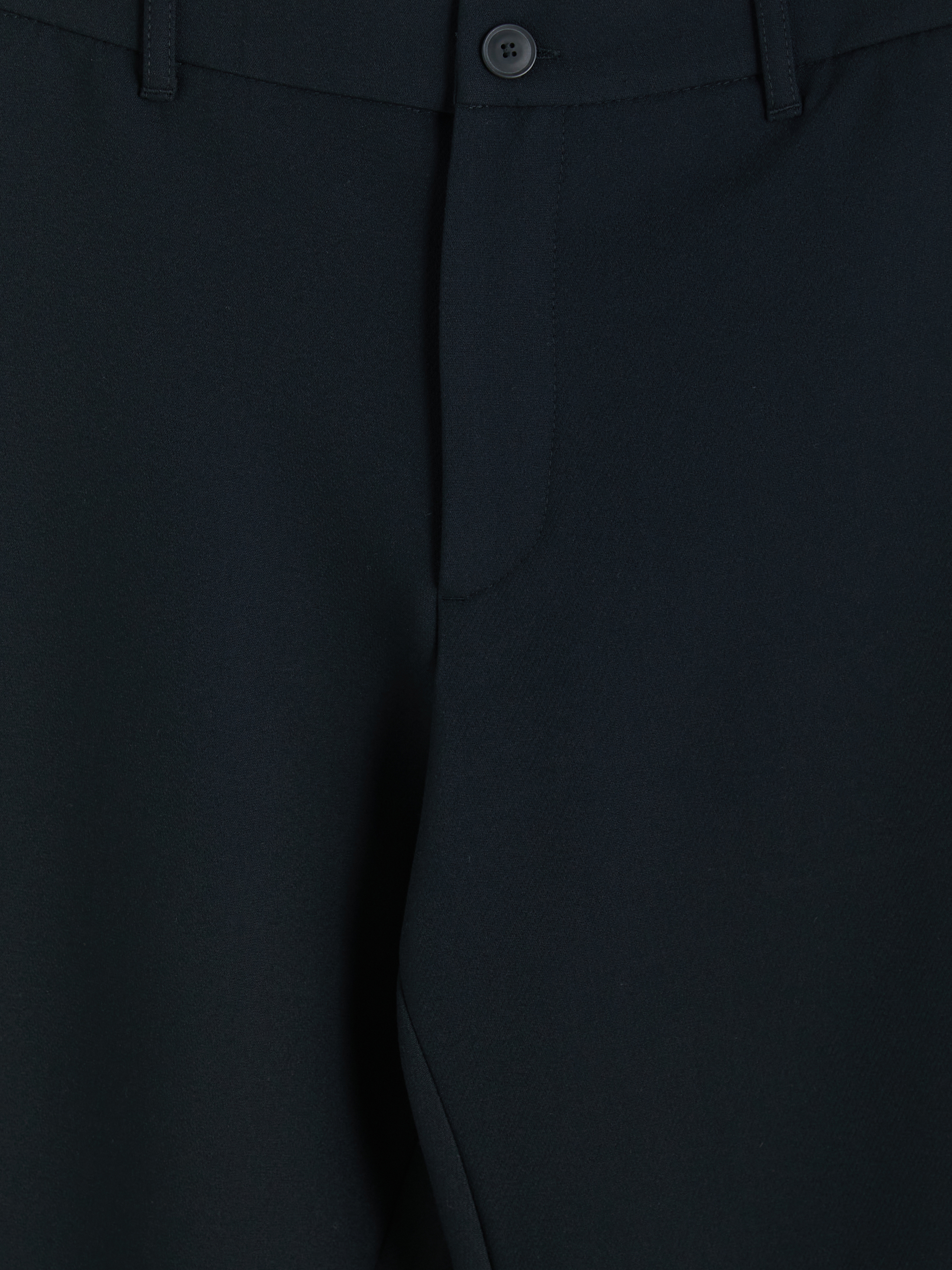 LCW Vision Regular Fit Erkek Pantolon görsel 2